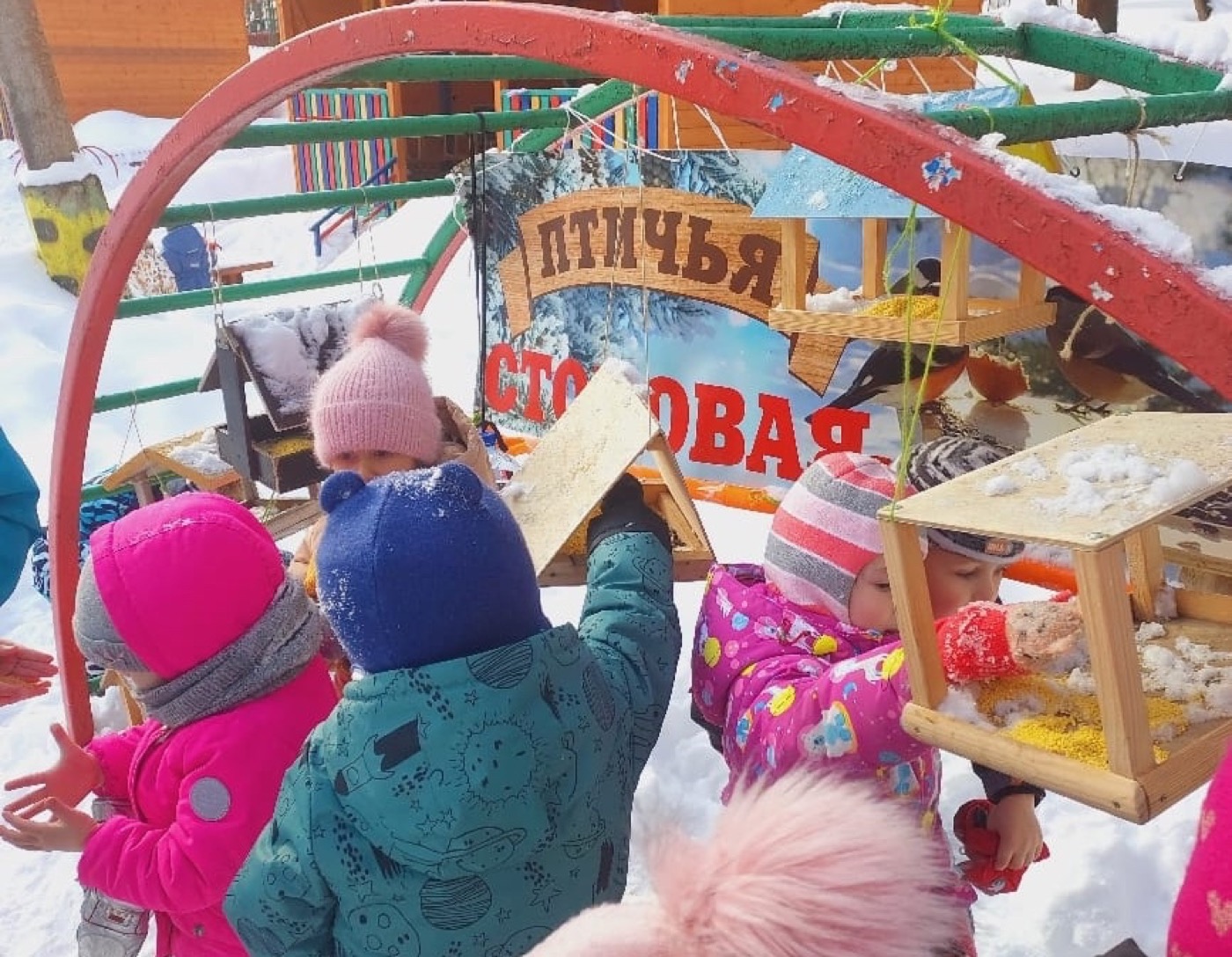 «Наши пернатые друзья»